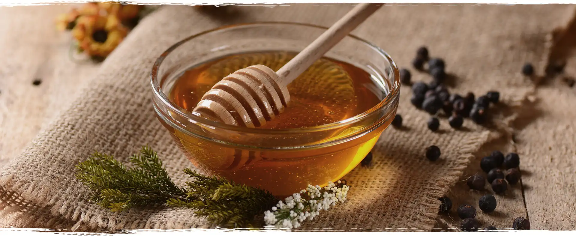 Productrice miel Saint-Sylvestre-sur-Lot Productrice miel Saint-Sylvestre-sur-Lot